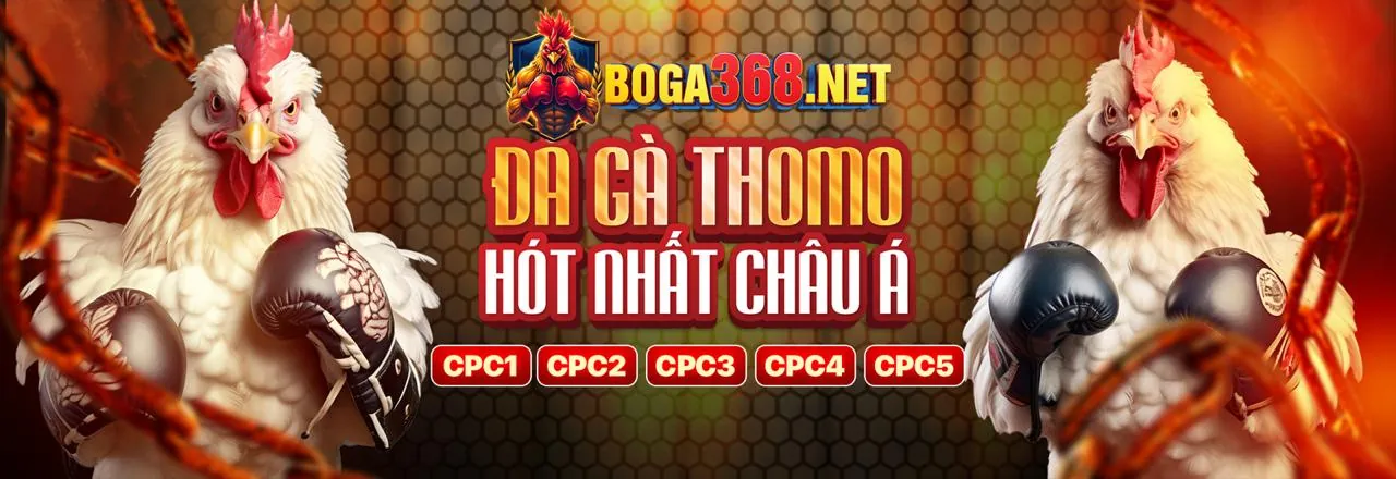 Đá gà trực tuyến ft179 win